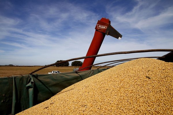 Molienda de granos se contrajo 18% hasta septiembre