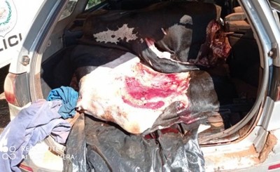 Piden prisión de cuatro presuntos abigeos