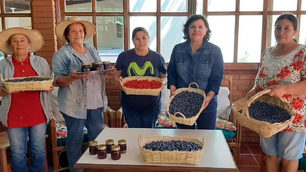 Arándano, un rubro diferente y con buen precio tendrá su fiesta en Misiones