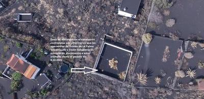 Los perros atrapados por el volcán en La Palma fueron rescatados. Nadie sabe quien lo hizo