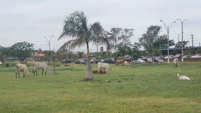 Grandes desafíos en Concepción para las nuevas autoridades