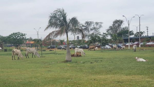 Grandes desafíos en Concepción para las nuevas autoridades