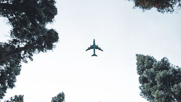 Descansaba en su jardín cuando le cayó excremento desde el baño de un avión