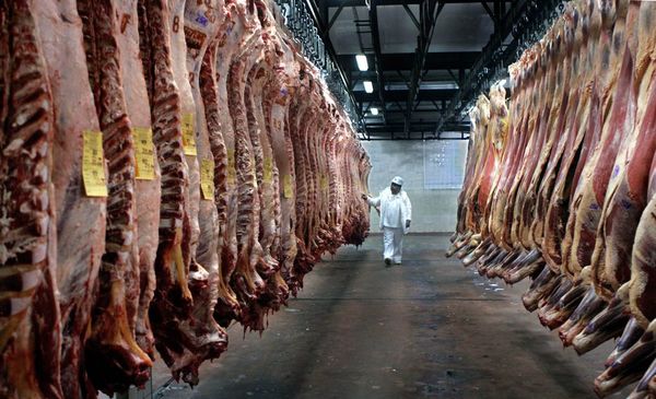 La ganadería podría sacar al país del sub-desarrollo