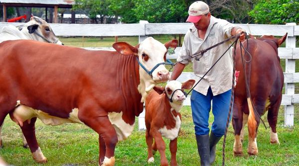 Expo Guairá 2021 vuelve con 50 stands y 300 animales - Nacionales - ABC Color