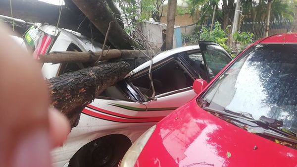 Fuerte temporal provoca destrozos y deja a unos 30.000 usuarios sin energía eléctrica en Alto Paraná - Noticias de Ciudad del Este y Alto Paraná hoy - ABC Color