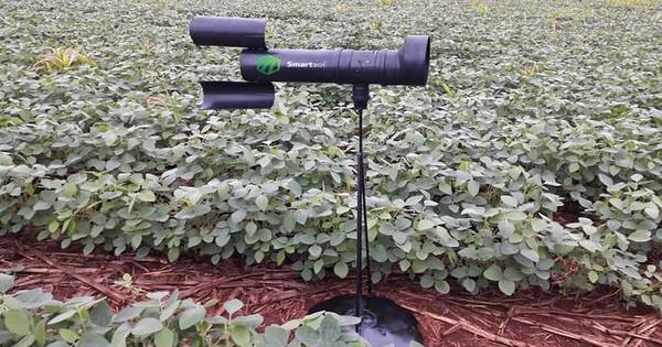 La Nación / Sistema de alerta para las enfermedades de la soja