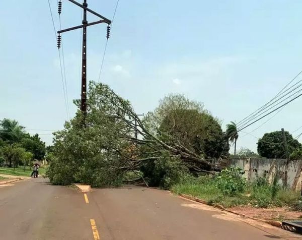 Temporal derribó siete torres de transmisión y la vecina ciudad de Ponta Porã permanece sin energía
