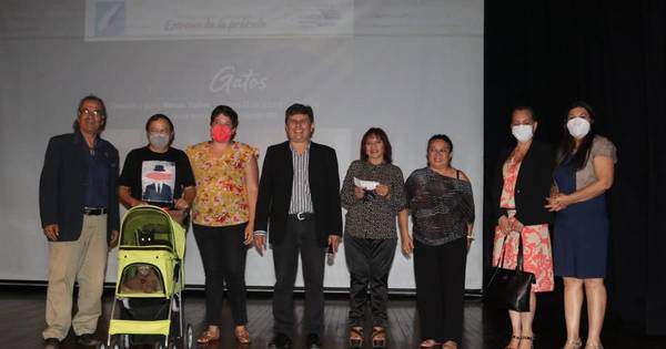 La Nación / Exitoso estreno de “Hotel de gatos”