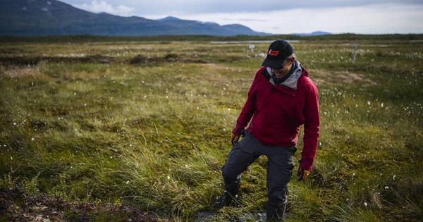 La Nación / El permafrost, la bomba de tiempo del cambio climático