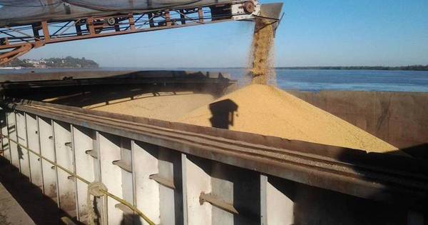 La Nación / Las exportaciones de soja se redujeron 6,8%