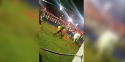 Diario HOY | Torero sufrió graves heridas durante corrida: “No pienso dejar este vicio, me da todo pirî”