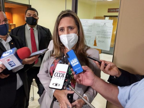 Municipios que no respondan pedidos de informe podrían ser multados hasta 300 jornales