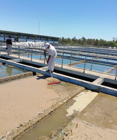 Socializan proyecto ante desesperante situación de falta de agua potable en Alto Paraná - ABC en el Este - ABC Color