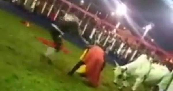 La Nación / Sufrió heridas en acrobacia con toro: “No pienso dejar este vicio, me da todo pirî”