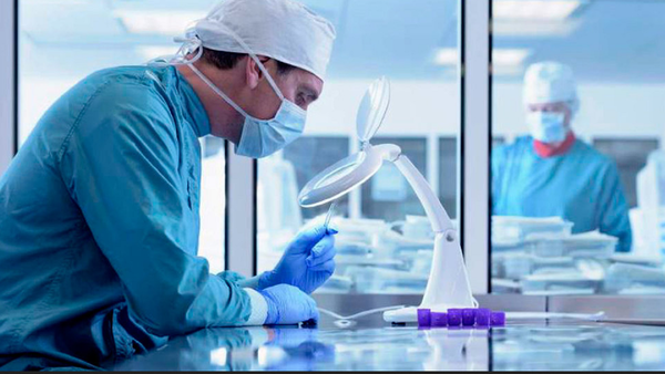Identifican los genes que generan resistencia a tratar la candidiasis