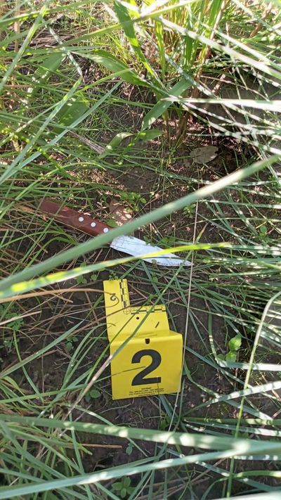 Hallaron un cuchillo y una billetera con documentos del posible feminicida - Nacionales - ABC Color