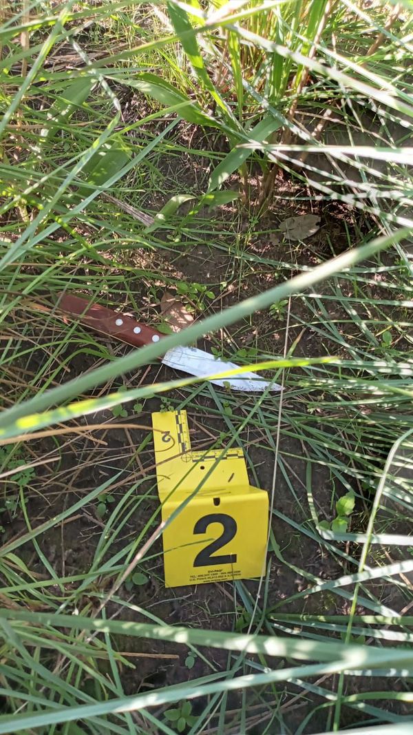 Hallaron un cuchillo y una billetera con documentos del posible feminicida - Nacionales - ABC Color