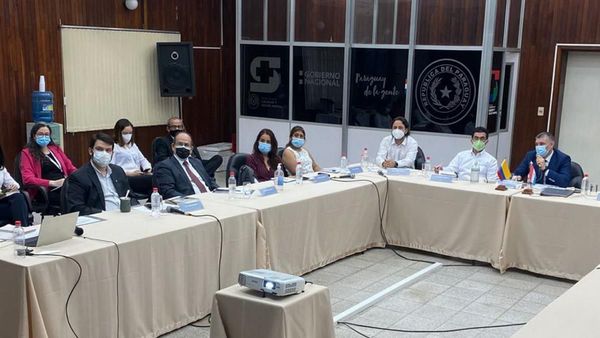 Auditores colombianos revisan inocuidad de la carne