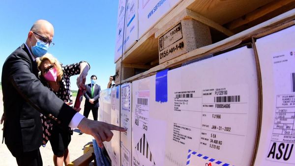 Hasta ahora llegó solo el 13% de lo que se compró de Covax