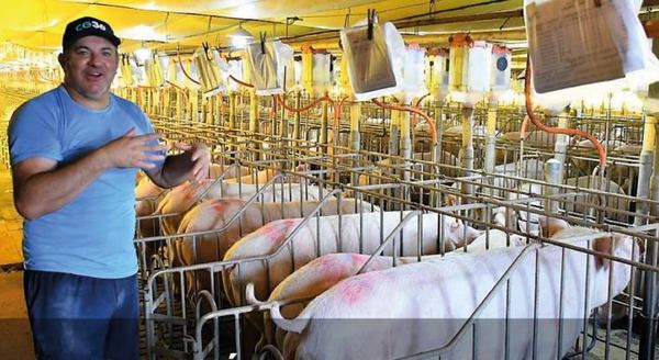 Clúster porcino gana competitividad mediante buenas prácticas ambientales en la Reserva de Biósfera ITAIPU