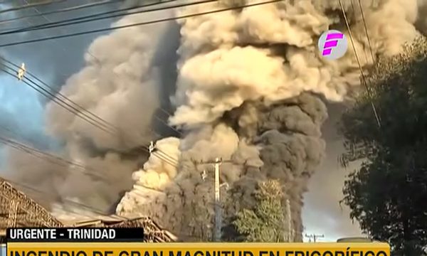 Dr. José Fusilo: ''Se recomienda uso de mascarillas e hidratación abundante'' | Telefuturo
