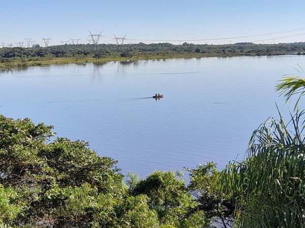 Cause en alza del río Paraná favorece al desove de peces - Nacionales - ABC Color