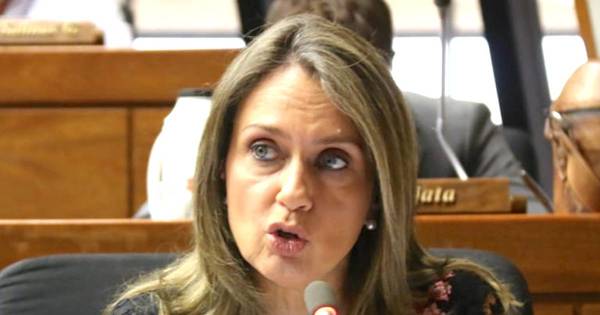 La Nación / Diputada exige informes sobre cámaras del 911 descompuestas y no reparadas