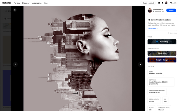Adobe Photoshop e Illustrator anuncian su llegada en formato web - Megacadena — Últimas Noticias de Paraguay