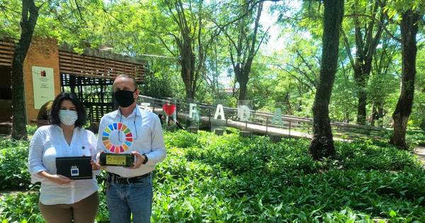 La Nación / Reconocerán proyectos que contribuyan a los Objetivos de Desarrollo Sostenible (ODS)