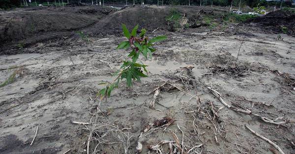 La Nación / Realizarán taller sobre herramientas financieras ante riesgos catastróficos por cambio climático