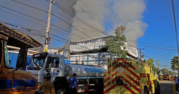 La Nación / Descartan presencia de amoniaco en el ambiente tras incendio en frigorífico
