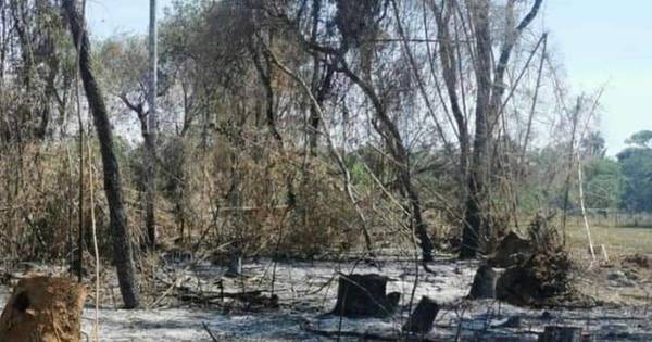 La Nación / Santa Rita: imputan por tala, quema de bosques y canalización irregular de zona baja