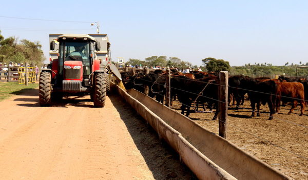 USDA prevé suba de la participación de animales de confinamiento en faena paraguaya