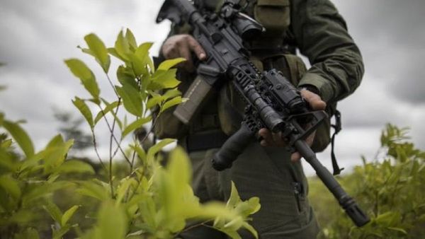 EEUU y Colombia anuncian nueva estrategia antinarcóticos