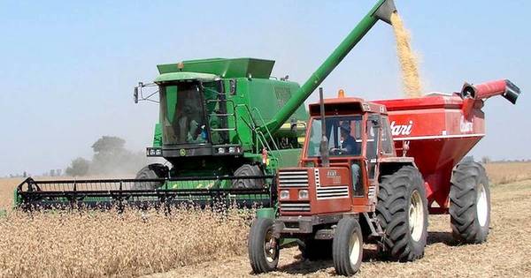 La Nación / Menor producción agrícola provocará una mayor caída del sector primario