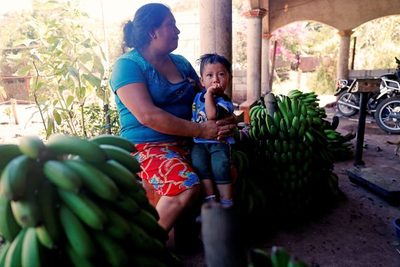 Campesinos ch'orti' de Guatemala atenúan el corredor seco con una cosecha sostenible - MarketData