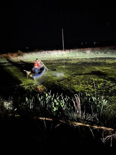 Menor muere ahogado en un tajamar en Carapeguá - Nacionales - ABC Color