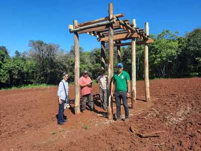 IMPULSAN EL CULTIVO DE PLANTAS MEDICINALES EN LOS BARRIOS - Itapúa Noticias