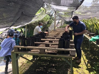 Salvadoreño apuesta por el chocolate de excelencia en un espacio agroecológico - MarketData