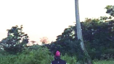 Robó sandía y la cambió por caña en un almacén