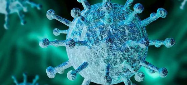 La OMS vigila una derivación de la variante delta del coronavirus
