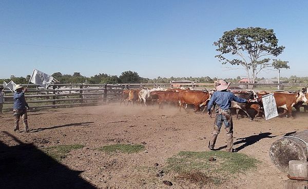 EE.UU muestra interés en la producción ganadera local - Nacionales - ABC Color