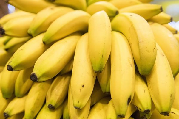 Piden a supermercados de Europa y EE.UU asumir coste justo de bananas - Mundo - ABC Color