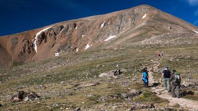 Se perdió en un bosque y no atendió a rescatistas por llamarle de un número desconocido