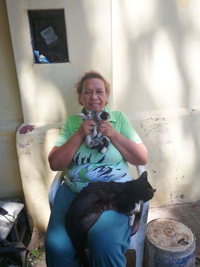 Florista cuida a gatos que deambulan en el cementerio de La Recoleta - Mascotas - ABC Color