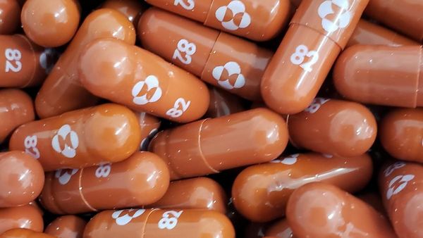 Acuerdo permitirá acceso mundial a pastilla anti-Covid