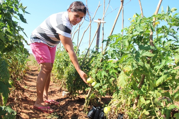 Con construcción de escuelas buscan contribuir al arraigo de familias campesinas - .::Agencia IP::.