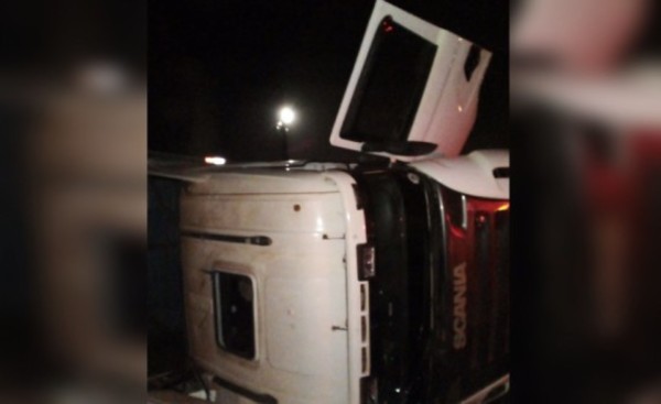 Camión cargado con cerdos vuelca y conductor resulta con lesiones