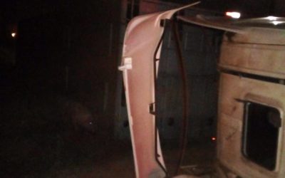 Vuelca camión cargado de cerdos